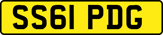 SS61PDG