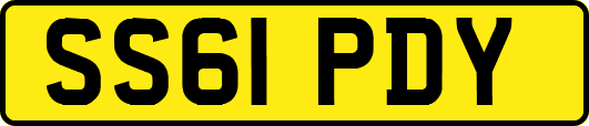 SS61PDY