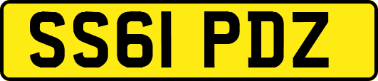 SS61PDZ