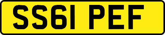 SS61PEF