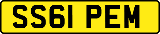 SS61PEM