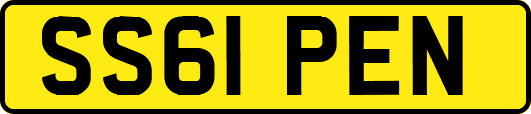 SS61PEN