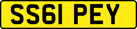 SS61PEY