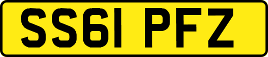 SS61PFZ