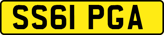 SS61PGA