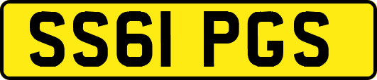 SS61PGS