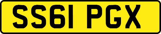 SS61PGX