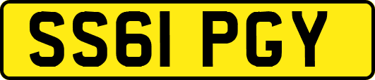 SS61PGY