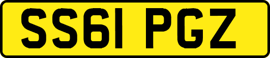 SS61PGZ