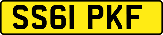 SS61PKF
