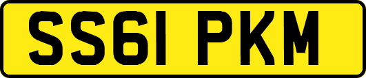 SS61PKM