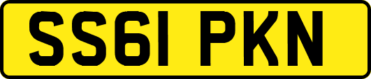 SS61PKN