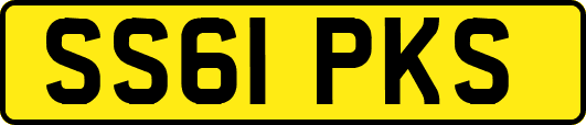 SS61PKS