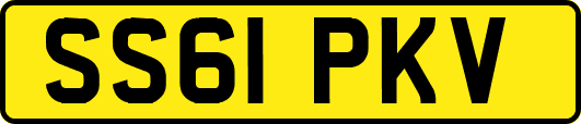 SS61PKV