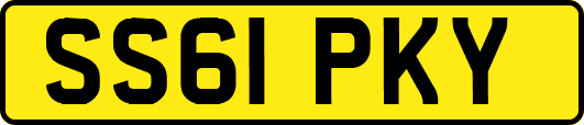 SS61PKY