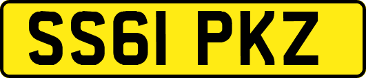 SS61PKZ