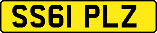 SS61PLZ