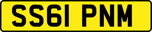 SS61PNM