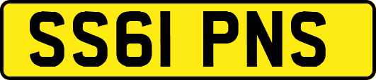 SS61PNS