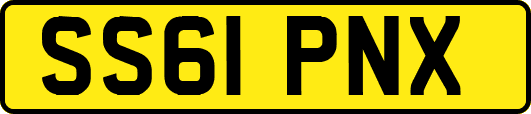 SS61PNX