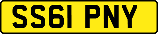 SS61PNY