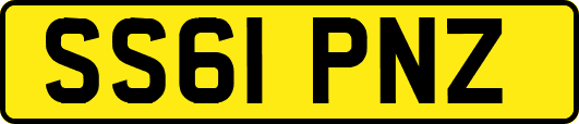 SS61PNZ