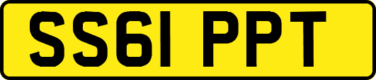 SS61PPT