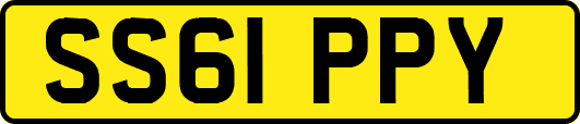 SS61PPY