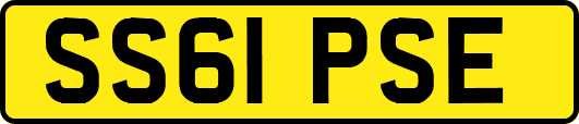 SS61PSE