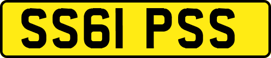 SS61PSS