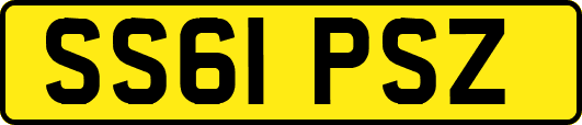 SS61PSZ