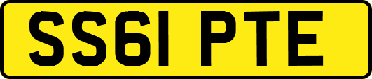 SS61PTE