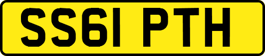 SS61PTH
