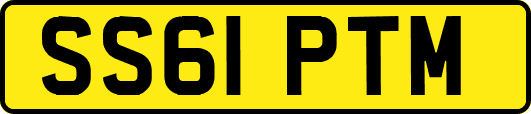 SS61PTM