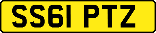 SS61PTZ
