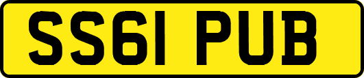 SS61PUB