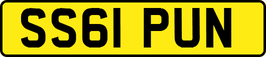 SS61PUN