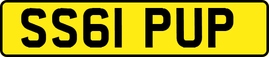 SS61PUP