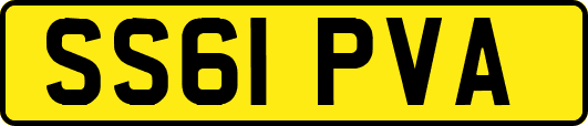 SS61PVA