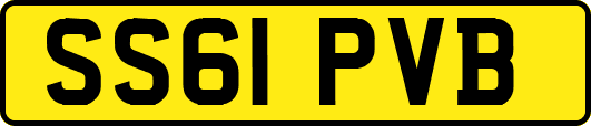 SS61PVB