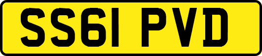 SS61PVD