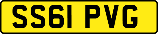 SS61PVG