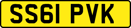 SS61PVK