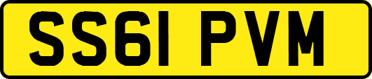 SS61PVM