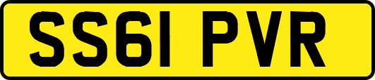 SS61PVR