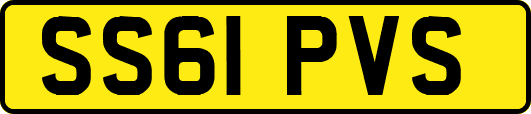 SS61PVS