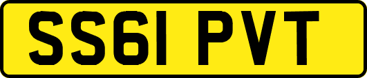 SS61PVT