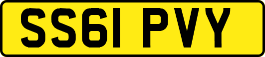 SS61PVY