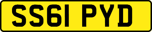 SS61PYD