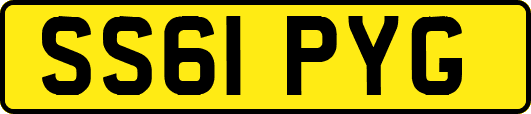 SS61PYG